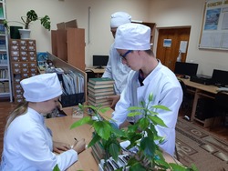 КГП на ПХВ “Северо-Казахстанский высший медицинский колледж” КГУ “УЗ акимата СКО”