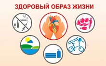 ЗОЖ